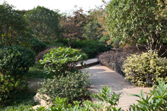 ����������·�������ݶ��̻�����